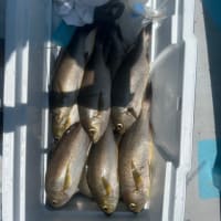 2号船午前便イサキ釣り1号船午前便タテ釣り
