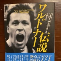 オリンピック卓球個人戦