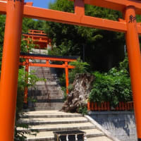 今年の 茅の輪くぐりは 建勲神社