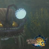 ワイルズには来ない？灯魚竜チャナガブルを倒す（主に水中戦）【MH3G】【モンハン3G】