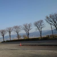 伊勢、長野、伊豆半島、箱根、掛川花鳥園の旅 ・パート1