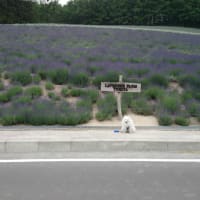 2014-06-30【北の大地へ☆北海道（上富良野～夕張～長沼町～札幌）】