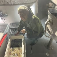６月２４日の釣果II〜🎣🐟