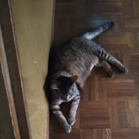 各部屋に温度計