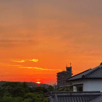久し振りに夕空・・・