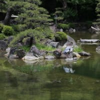天王寺公園にある慶沢園