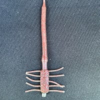 灼熱の野池‼