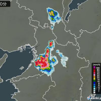 またもや大雨　
