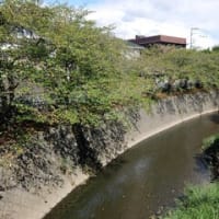 2023神奈川河川ﾎﾟﾀﾘﾝｸﾞ『葛川』①『葛川』河口～下浜橋