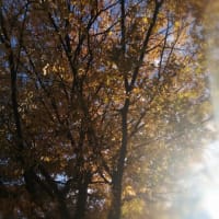 今日から12月