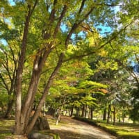 山形の秋