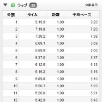第34回千歳JAL国際マラソン（ハーフ）2014/06/01