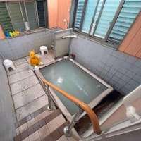 プーさん　大分県別府市明礬　明礬温泉　湯元屋旅館に行ったんだよおおう　その２