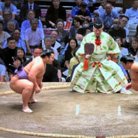 テレビの話　あれこれ