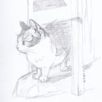 今日もラフ描き