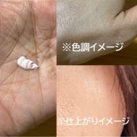 アリィー ラスティングプライマー UV