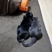 なかよしｗ