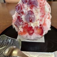 久しぶりのTKG