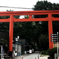 人形供養-和歌山県和歌山市：加太