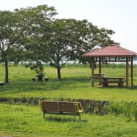 多々良沼公園　散策