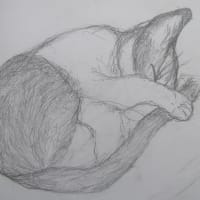 ハチワレ(=^・^=)　ソラ