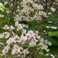 6月のロンドン