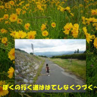 散歩