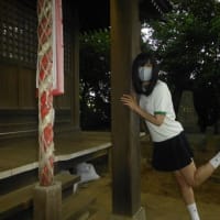 最近の動画を見なくても知っていた事