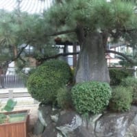 盛泉寺と難宗寺　（東海道五十七次歩き旅・摂津国）
