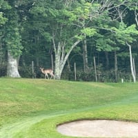 ラウンド旅@北海道 ③ 🏌️‍♀️
