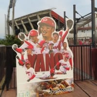 野球観戦ー楽天　２０日