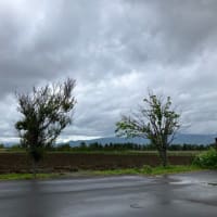 週明けは雨上がり