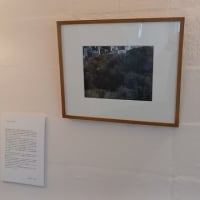 mahorama、Tangoさんの写真展「_years later」見に行ってきました。