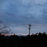 曇り空の、12月24日。22日、23日の朝の光景。
