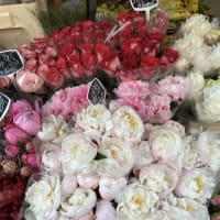 #花旅最終日＊最高の花巡り＊