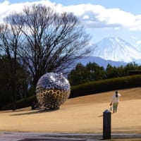 The Big Apple and Mount Fuji☆芸術の森公園・山梨県立美術館