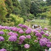 にしさんの花日記　千葉県　本土寺　花のお寺です