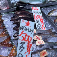 タカノハダイ