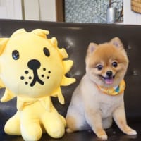 【２０２５年６月２９日・ハナ】
