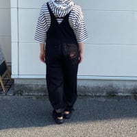 ANTGAUGE オーバーオール