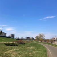 恒例・・・家から豊平川沿いを歩き札幌駅を目指しながら（散歩です）