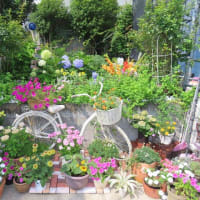 ２０２５．０６．２９　今日のブログ
