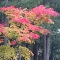 おやつの時間