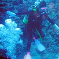 沖縄2005　ダイビング　その6