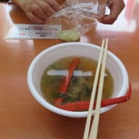 月イチの神社詣りとお墓参り