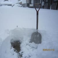 1/10　今日も除雪