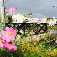 富良野の神様