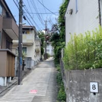 川崎市岡上付近の急坂を巡る③