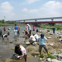 多摩川で化石発掘してきました(ガャンバくらぶイベント)