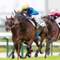 【エレガンシア】栗東トレセン帰厩、7/19小倉の牝馬限定2000ｍ戦へ！